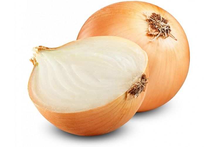 Cibule